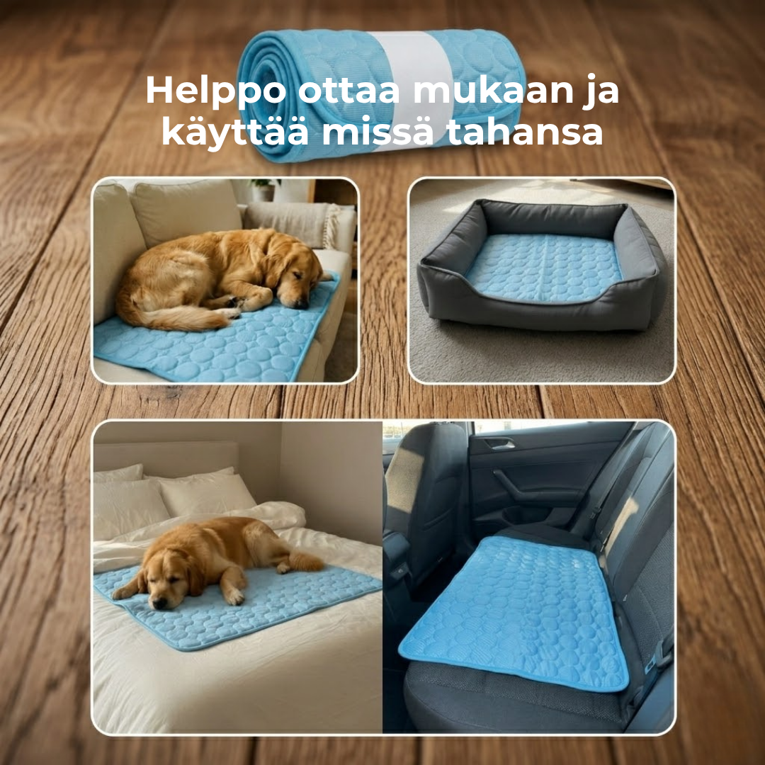 ChillPaw™ | Viilennysalusta koiralle