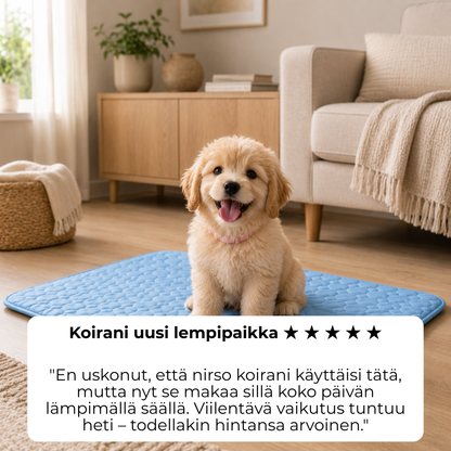 ChillPaw™ | Viilennysalusta koiralle