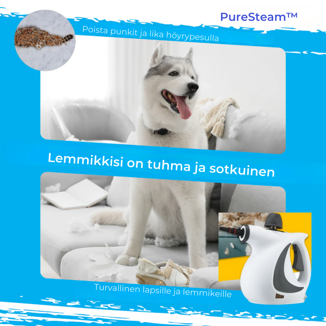 PureSteam™ | Puhdasta – Ilman kemikaaleja. Pelkkää höyryä.