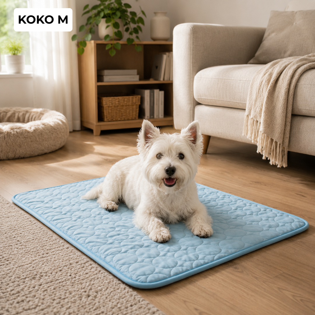 ChillPaw™ | Viilennysalusta koiralle