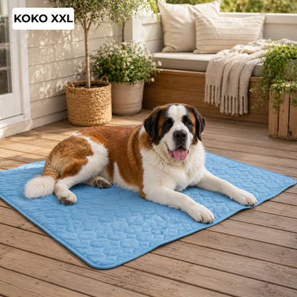 ChillPaw™ | Viilennysalusta koiralle